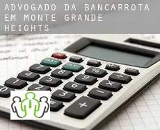 Advogado da bancarrota em  Monte Grande Heights