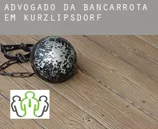 Advogado da bancarrota em  Kurzlipsdorf