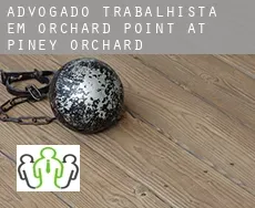 Advogado trabalhista em  Orchard Point at Piney Orchard