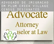 Advogado de imigração em  Plum Creek Village