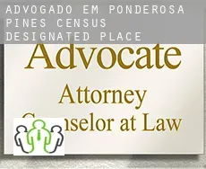 Advogado em  Ponderosa Pines