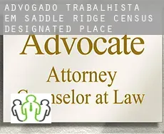 Advogado trabalhista em  Saddle Ridge