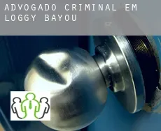 Advogado criminal em  Loggy Bayou