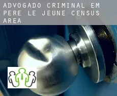 Advogado criminal em  Père-Le Jeune (census area)