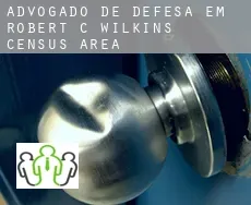 Advogado de defesa em  Robert-C.-Wilkins (census area)