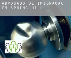 Advogado de imigração em  Spring Hill