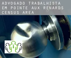 Advogado trabalhista em  Pointe-aux-Renards (census area)