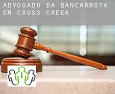 Advogado da bancarrota em  Cross Creek