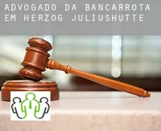 Advogado da bancarrota em  Herzog Juliushütte