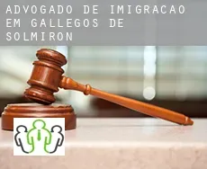 Advogado de imigração em  Gallegos de Solmirón