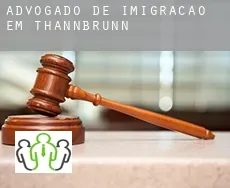 Advogado de imigração em  Thannbrunn