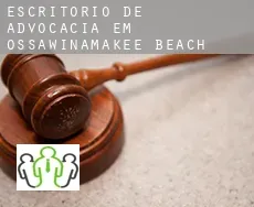 Escritório de advocacia em  Ossawinamakee Beach