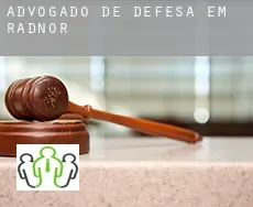 Advogado de defesa em  Radnor