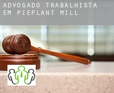 Advogado trabalhista em  Pieplant Mill