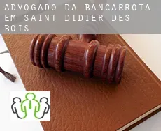 Advogado da bancarrota em Saint-Didier-des-Bois