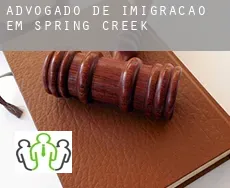 Advogado de imigração em  Spring Creek