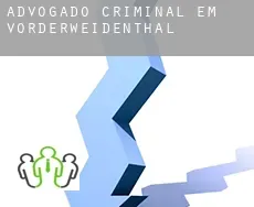 Advogado criminal em  Vorderweidenthal
