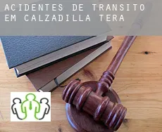 Acidentes de trânsito  em  Calzadilla de Tera