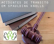 Acidentes de trânsito  em  Spaulding Knolls