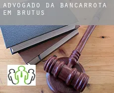 Advogado da bancarrota em  Brutus