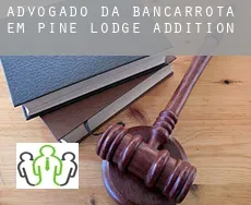 Advogado da bancarrota em  Pine Lodge Addition