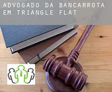 Advogado da bancarrota em  Triangle Flat