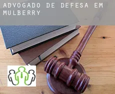 Advogado de defesa em  Mulberry