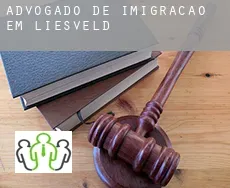 Advogado de imigração em  Liesveld