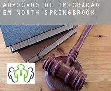 Advogado de imigração em  North Springbrook