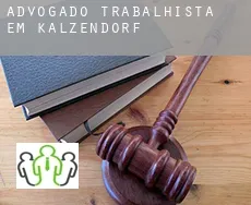 Advogado trabalhista em  Kalzendorf