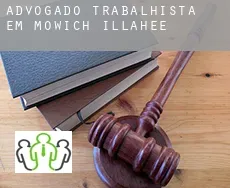 Advogado trabalhista em  Mowich Illahee