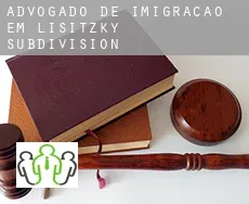 Advogado de imigração em  Lisitzky Subdivision