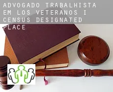 Advogado trabalhista em  Los Veteranos I