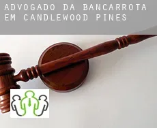 Advogado da bancarrota em  Candlewood Pines