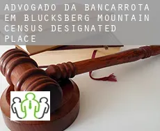 Advogado da bancarrota em  Blucksberg Mountain
