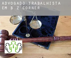 Advogado trabalhista em  B Z Corner