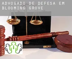 Advogado de defesa em  Blooming Grove