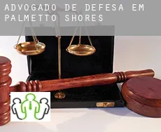 Advogado de defesa em  Palmetto Shores