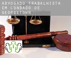 Advogado trabalhista em  Condado de Georgetown