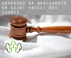 Advogado da bancarrota em  Saint-Priest-des-Champs