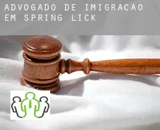 Advogado de imigração em Spring Lick