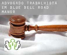 Advogado trabalhista em  Blue Bell Road Manor