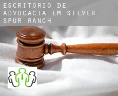 Escritório de advocacia em  Silver Spur Ranch