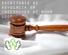 Escritório de advocacia em  Treehouses at Mohr Loop