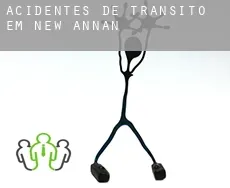 Acidentes de trânsito  em  New Annan