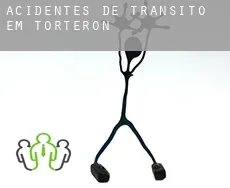Acidentes de trânsito  em  Torteron