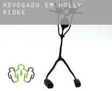 Advogado em  Holly Ridge