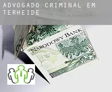 Advogado criminal em  Terheide