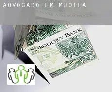 Advogado em  Mū‘olea