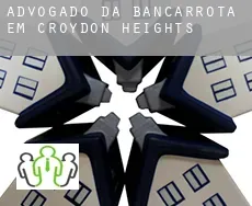 Advogado da bancarrota em  Croydon Heights